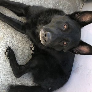 Meet your Posher, Margarita